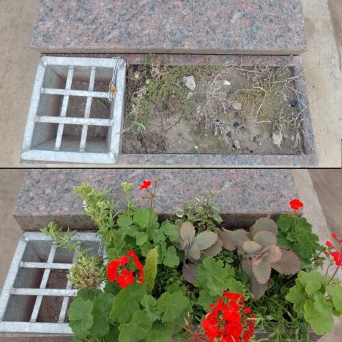 maceta-2-1.jpg Replacement – Plant placement (single grave)